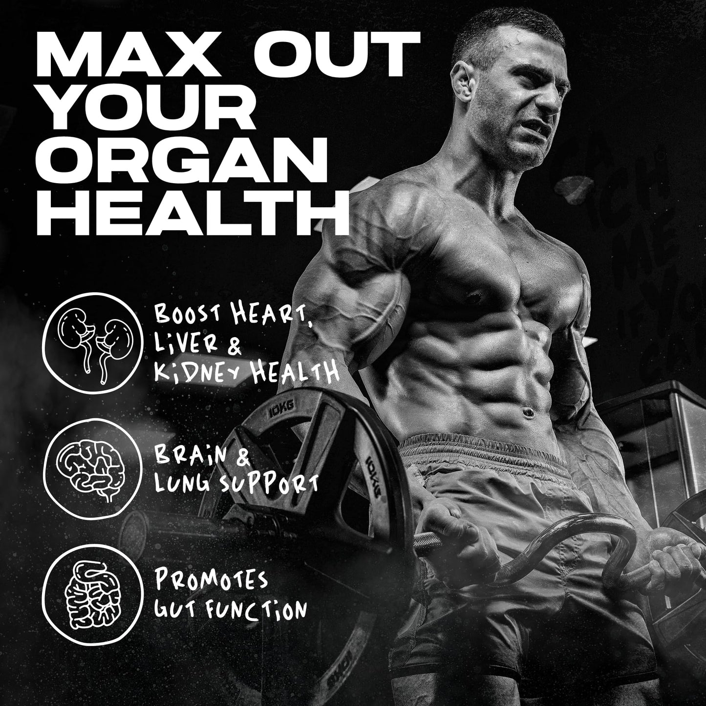 AFTERDARK OrganX Organ Support, Comprehensive Supplement, Promotes Healthy Heart, Liver, Kidneys, Stomach, Brain, Skin, and Lung Function, Advanced Detoxification and Wellness Formula (150 Capsules)
