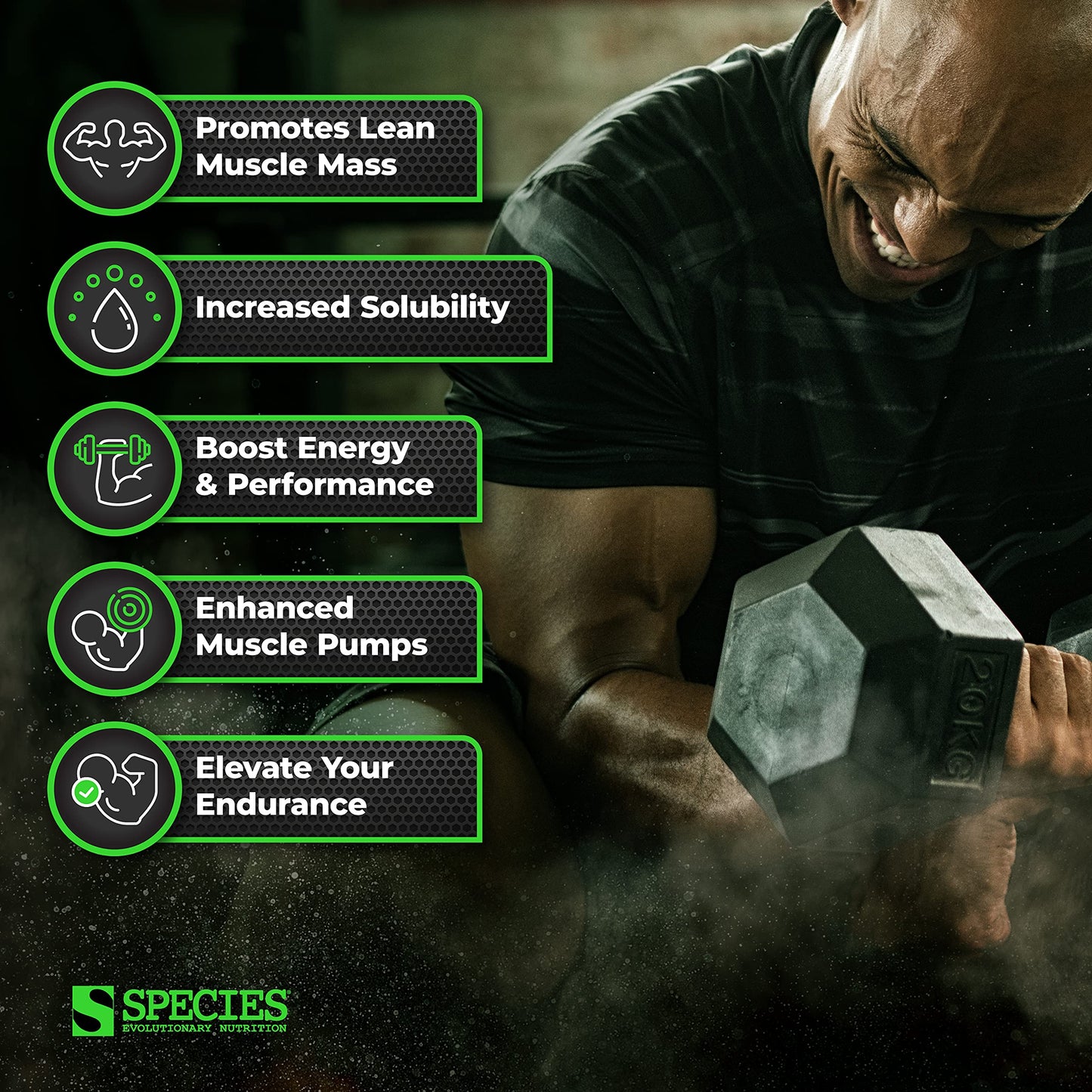 Species Nutrition Crealyze Creatine Powder, 100% Creatine Monohydrate with Solubility to Support Lean Mass, Endurance and Strength, Post Workout Recovery Drink, Gluten-Free (Unflavored, 17.6 Oz)