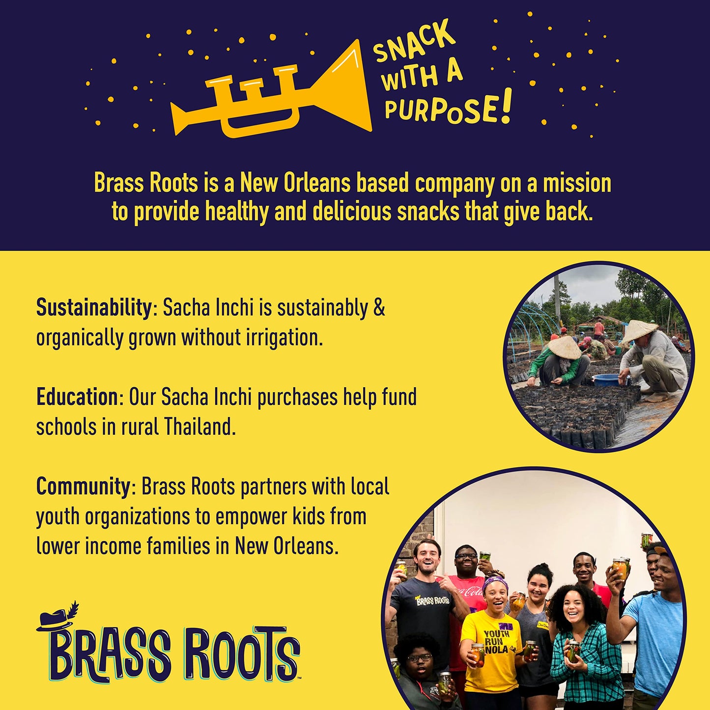 Brass Roots Organic Roasted Sacha Inchi Seeds Lightly Salted  Keto Paleo Allergen Free Low Fodmap 12 oz Pack of 1 Seen on Shark Tank