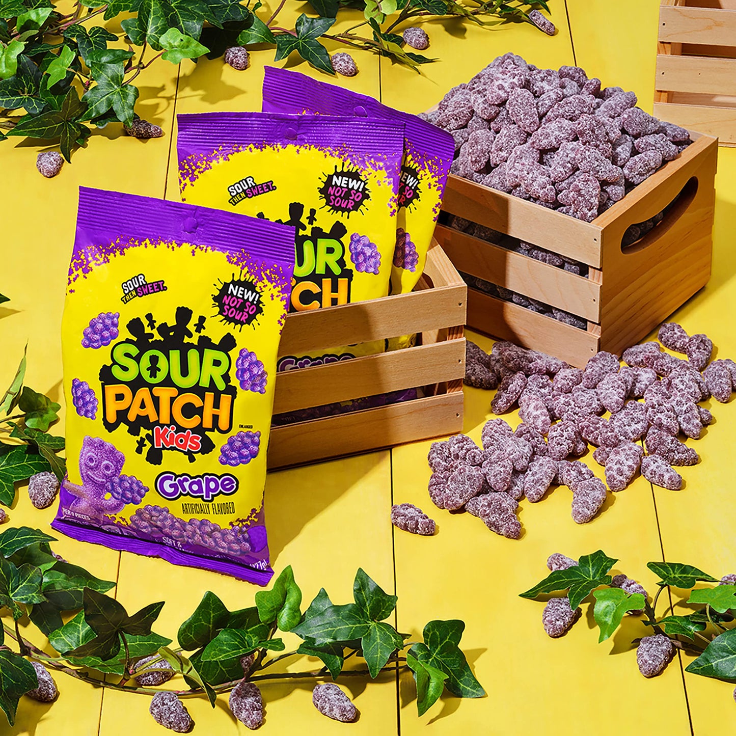 SOUR PATCH KIDS Grape Soft  Chewy Candy 802 oz