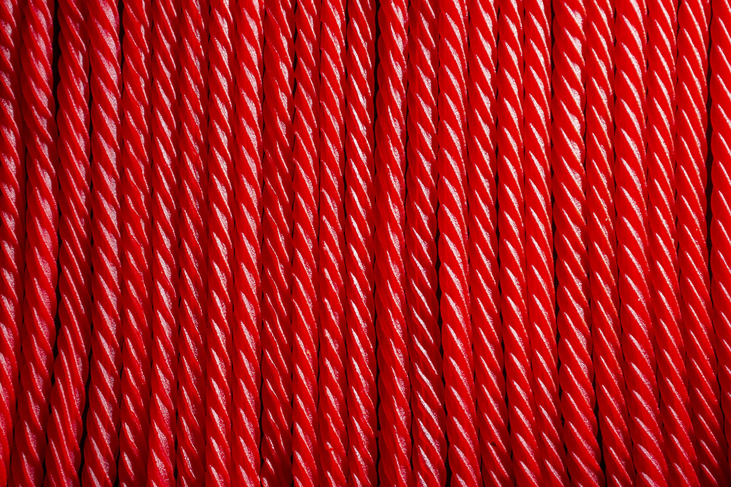Red Vines Licorice Twists Original Red Flavor Soft  Chewy Candy 4 Ounce Pack of 24
