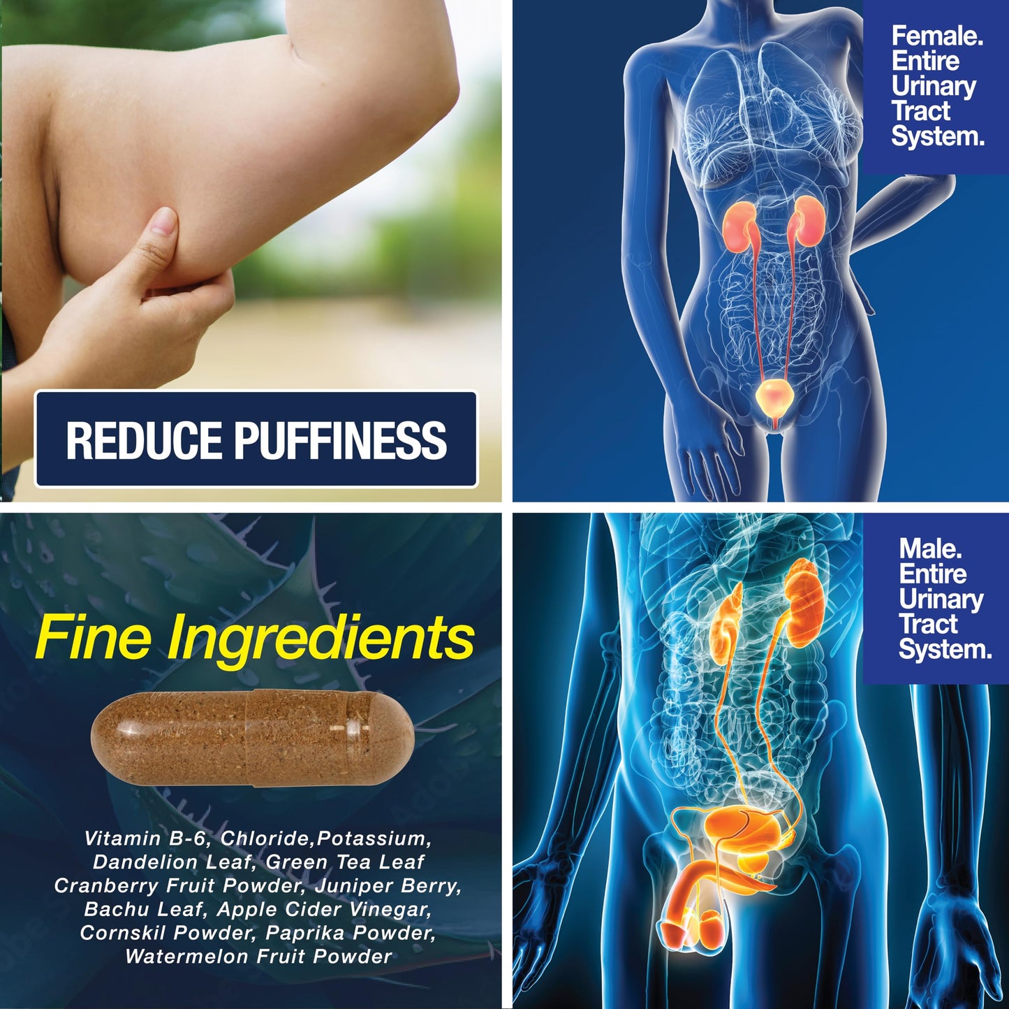 Water Away - Water Retention and Flushing, Aids in Water Relief & Water Loss for Swollen Ankles Feet, Legs or Bloating - Fast Acting Water Away Pills for Women and Men (90 Capsules)