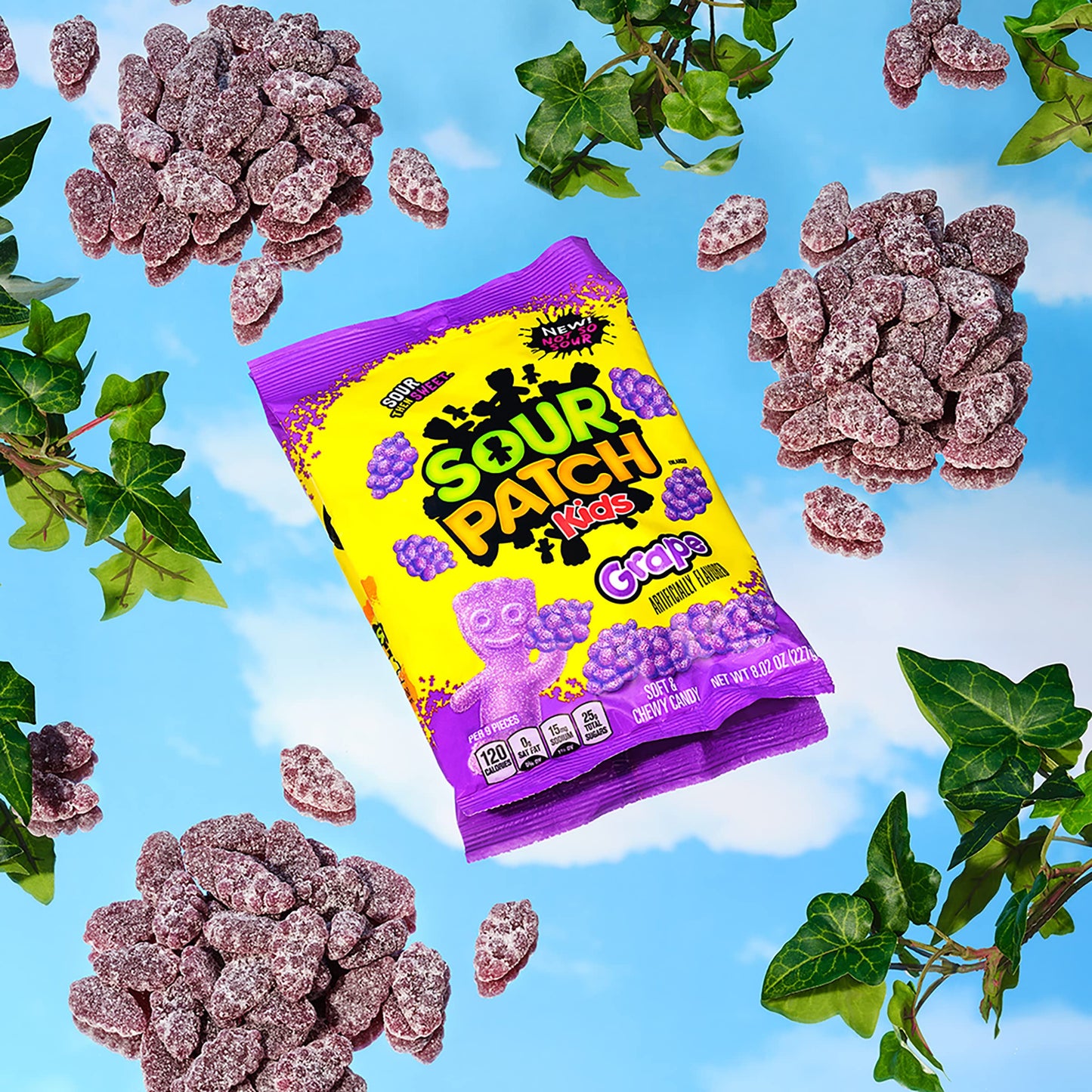 SOUR PATCH KIDS Grape Soft  Chewy Candy 802 oz