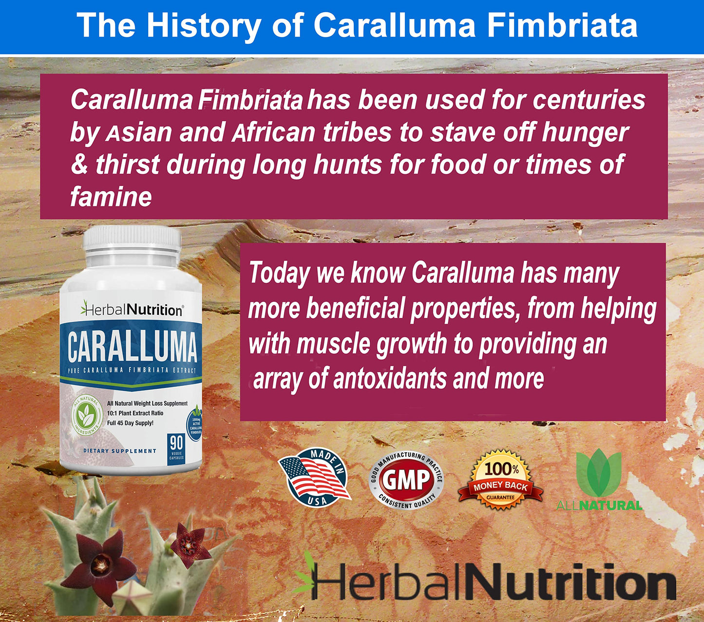 Herbal Nutrition Caralluma Fimbriata 180 Capsules Two Bottle Pack Maximum Strength 10:1 Extract Ratio 1200mg All-Natural Diet, Energy, Endurance and Weight Management Supplement