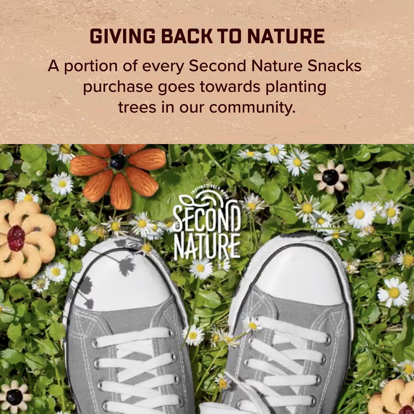 Second Nature Wholesome Medley Trail Mix  12 Count 225 oz Individual Snack Packs Certified GlutenFree  Dark Chocolate Dried Fruit and Nut Trail Mix Ideal for Travel Snacks