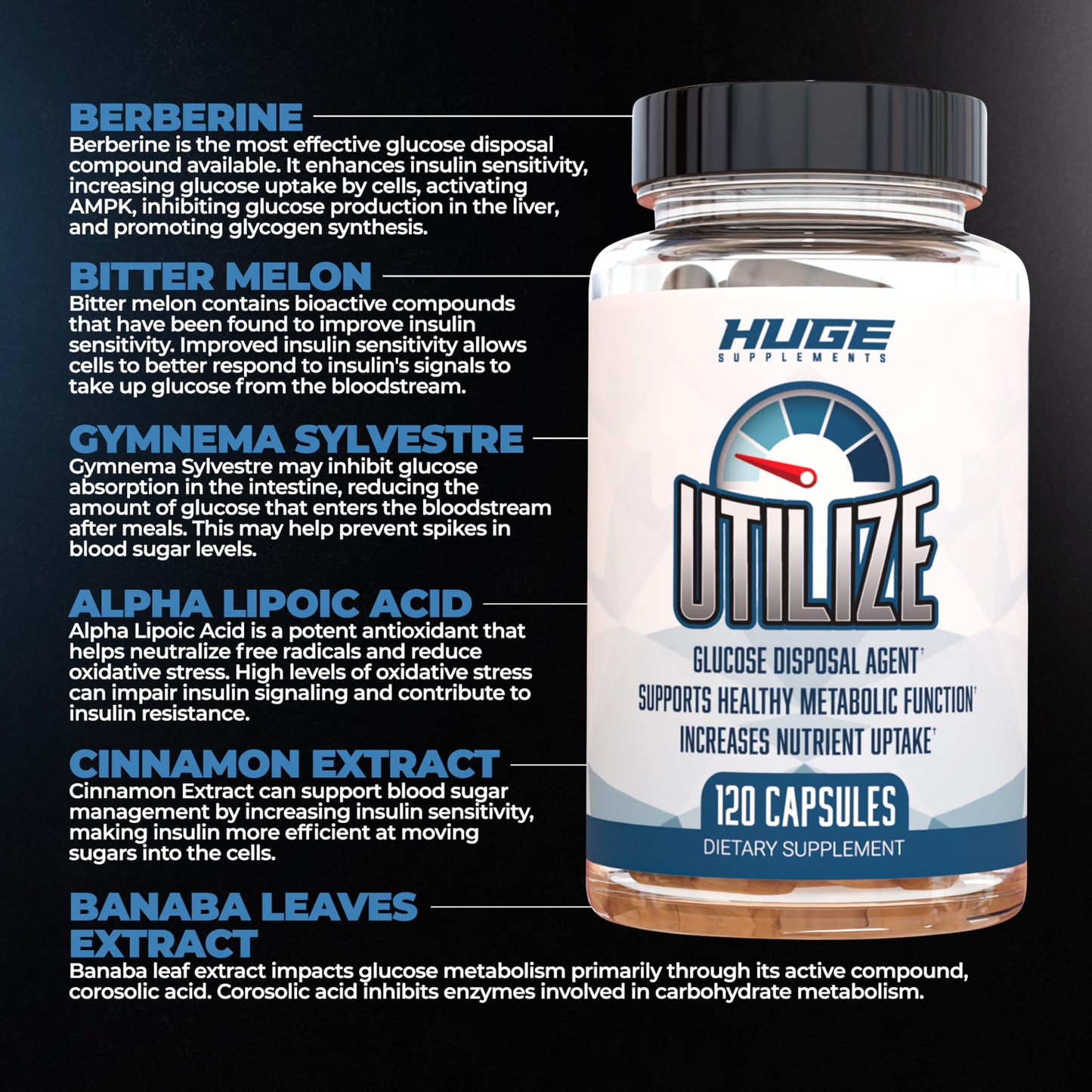 Utilize Glucose Disposal Agent (GDA), Carb Blocker & Nutrient Partitioner, Support Healthy Metabolic Function with 1.5g Berberine, 500mg Bitter Melon, 125mg Cinnamon & More (120 Capsules)