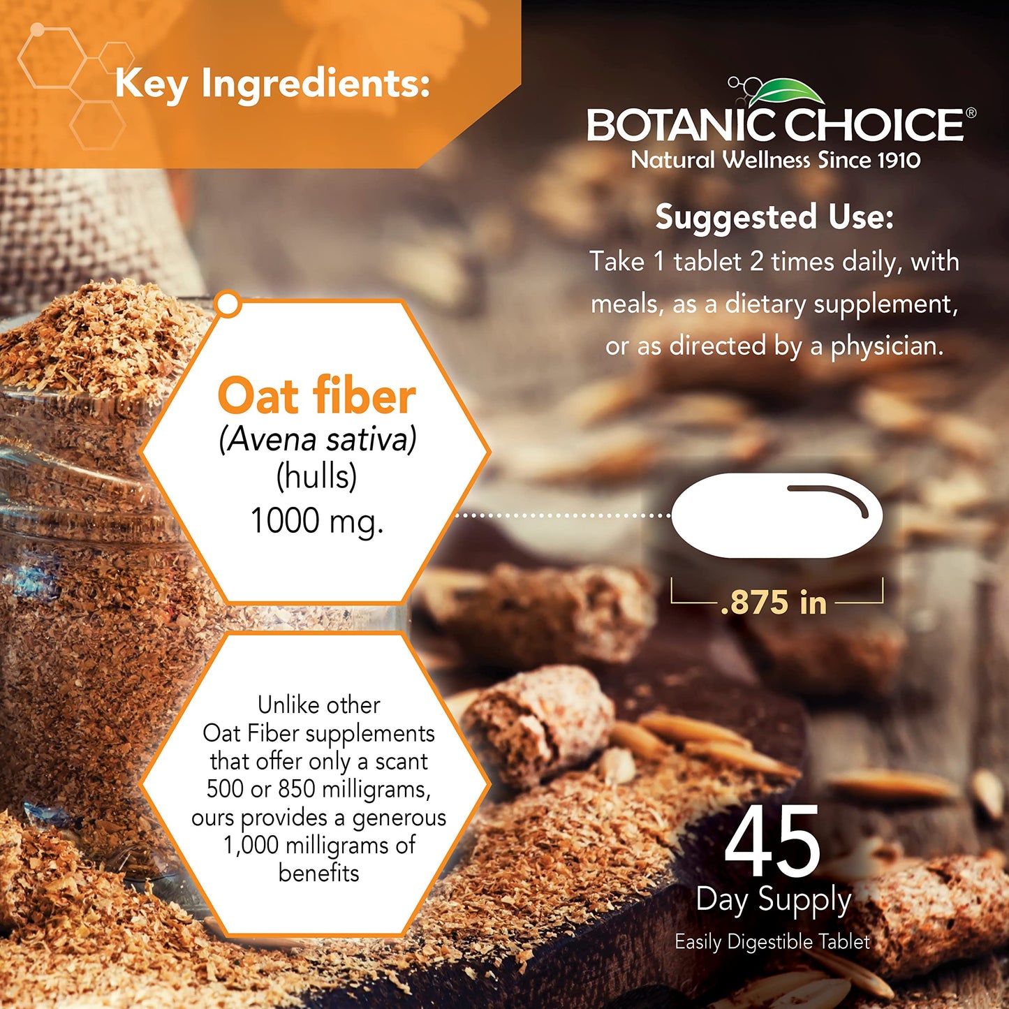 Botanic Choice Oat Fiber - Natural Dietary Supplement for Digestive Health - Women and Men - 90 Tablets (1000mg)