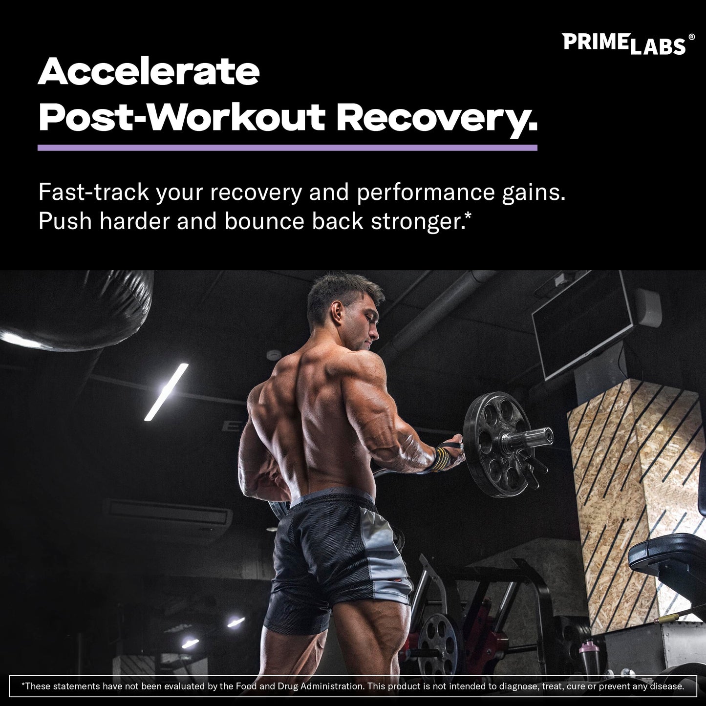 Prime Labs L Glutamine Capsules 600mg - Supports Strength, Muscle Recovery, Immunity, & Gut Health - Amino Acid Supplement - for Men & Women