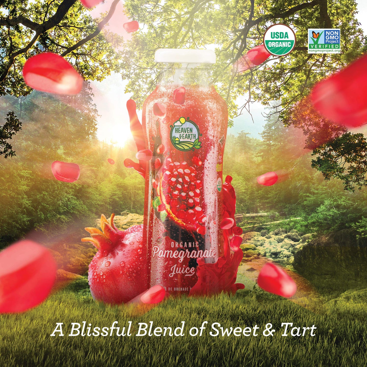 Heaven  Earth 100 Pure Organic Pomegranate Juice 1115oz 6 Pack NO Concentrate Cold Pressed Non GMO Verified No Sugar Added No Preservatives