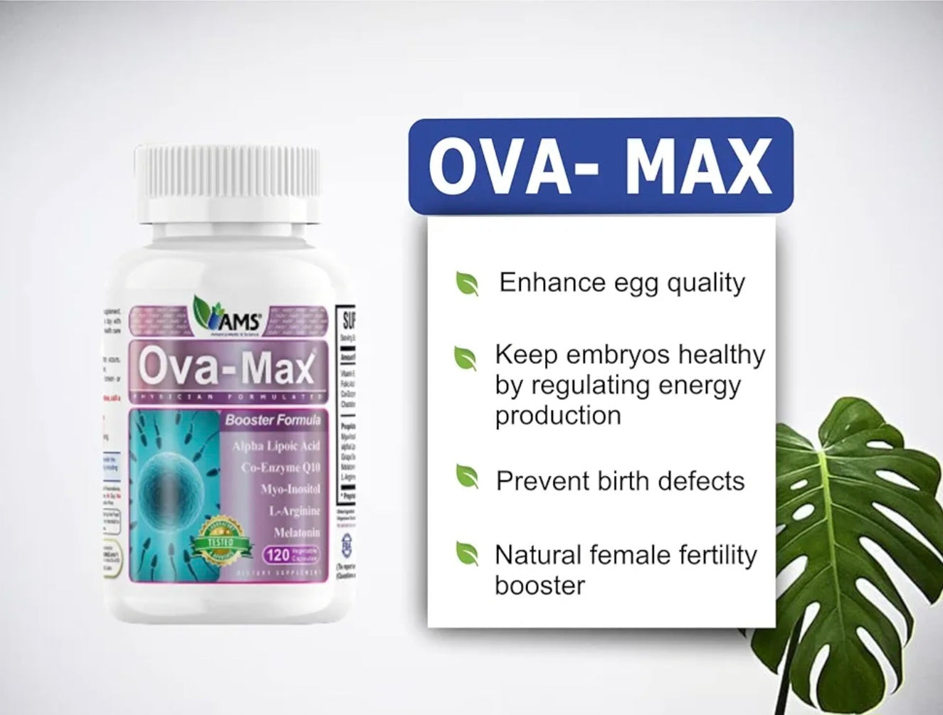 TML AMS Ova-max Vegetable Capsules 120's