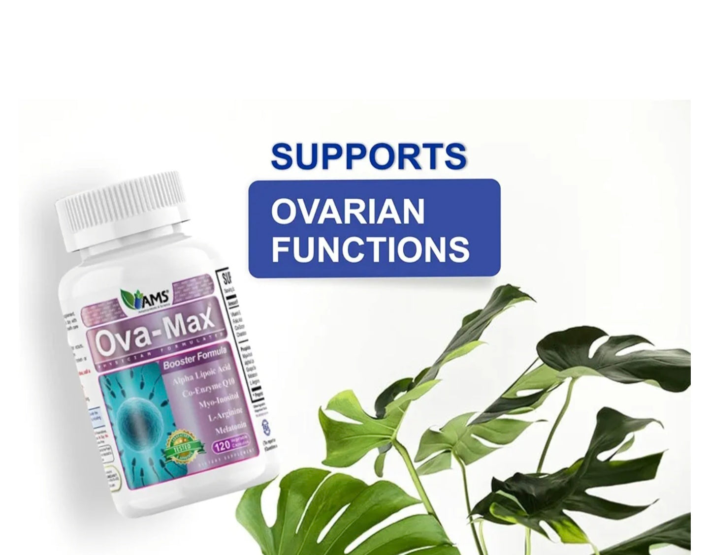 TML AMS Ova-max Vegetable Capsules 120's